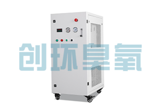 兴安石斑鱼养殖水质调控完整指南:臭氧发生器配置与操作步骤