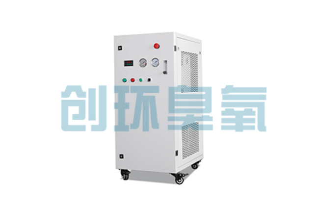 兴安比传统换水更高效?臭氧发生器在石斑鱼养殖中的水质净化原理解析